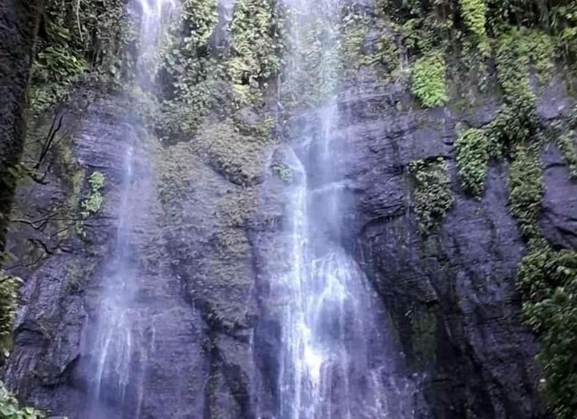 Other Photo
