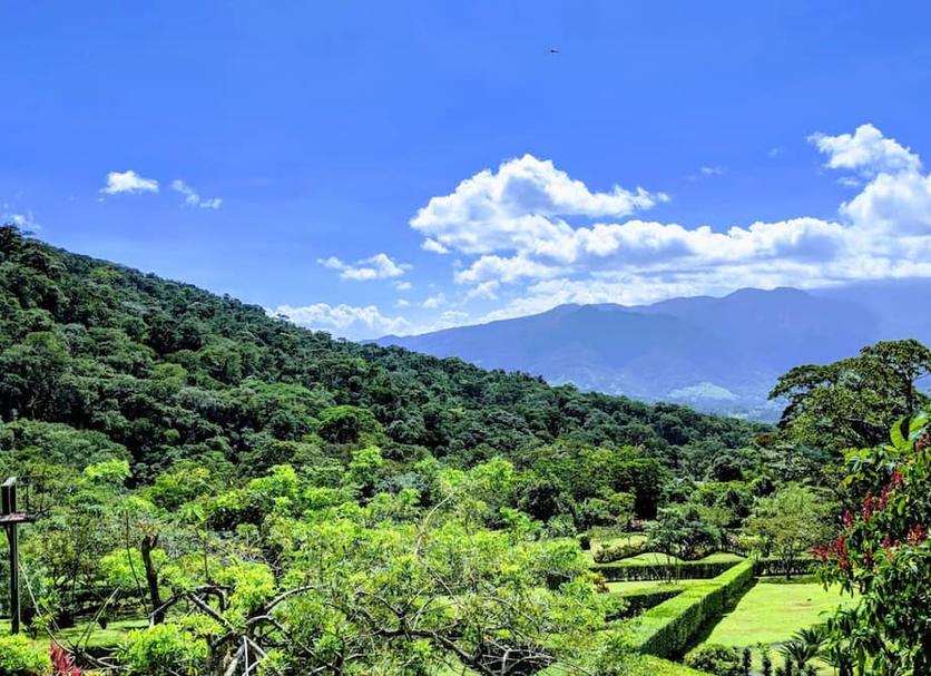 Outdoors view Photo