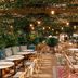Tribe Le Touquet outdoor dining terrace in Le Touquet with string lights and woven chairs