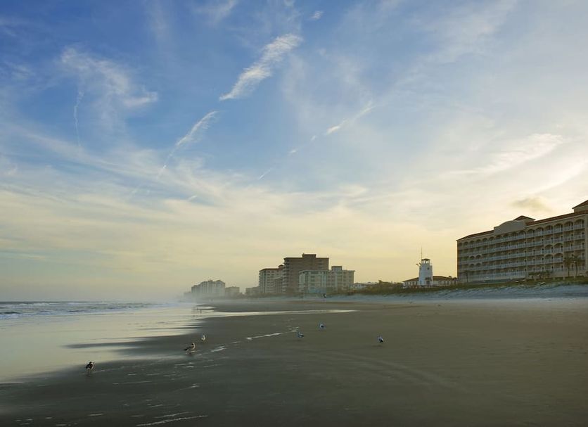 Beach Photo
