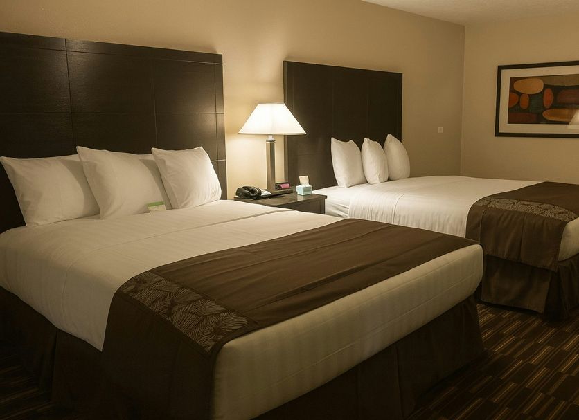 Boarders Inn & Suites by Cobblestone Hotels - Ashland City room with two beds and bedside lamp