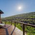 Sediba Luxury Safari Lodge in Vaalwater terrace with loungers overlooking a sunlit hillside