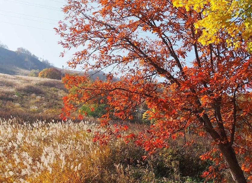Outdoors view Photo