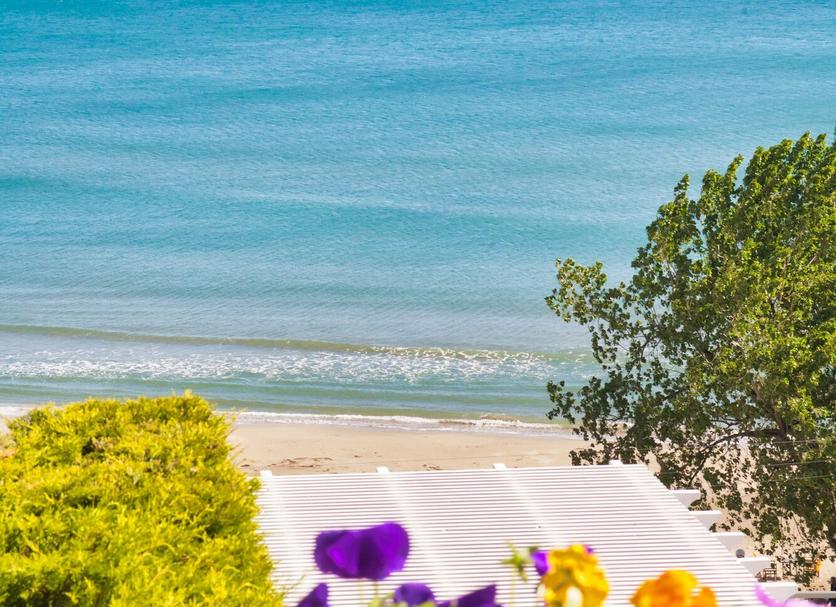 Beach Photo