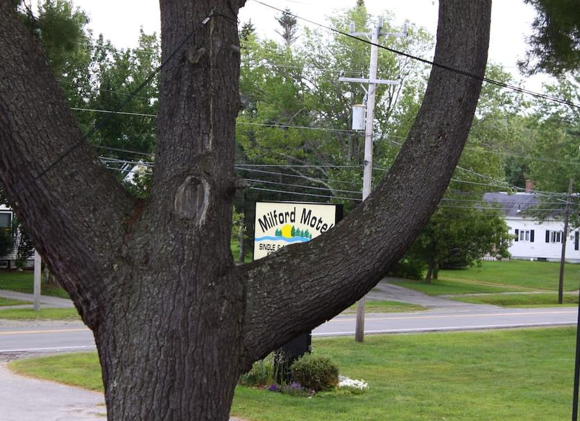 Outdoors view Photo