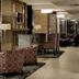 Anew Hotel Hatfield Pretoria lobby with patterned chairs, dark sofa and modern lighting in Pretoria