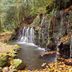 Omiya Ryokan in Hakone beside a forest waterfall and stream with autumn leaves