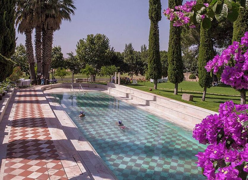 Gran Hotel Aqualange - Balneario de Alange pool with checkerboard deck, palm trees and flowers in Alange