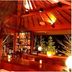 Hakone Ginyu in Hakone, open-air hotel bar with palm tree, warm lighting and night garden view