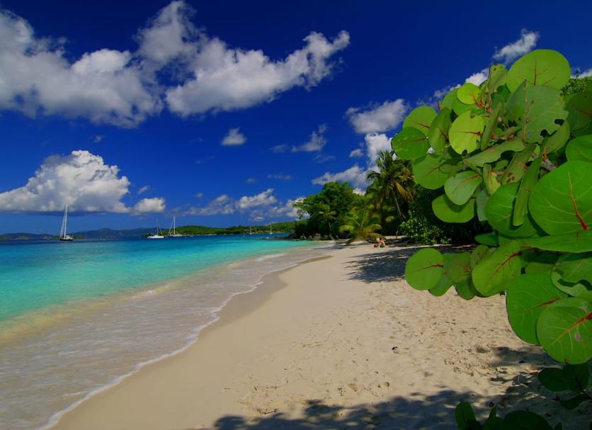 Beach Photo