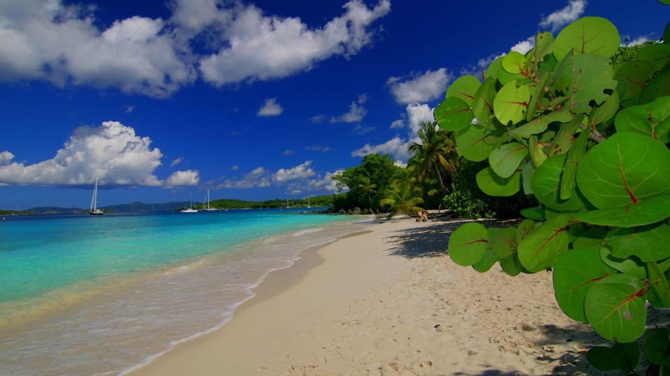 Suite St. John at Gallows Point Resort