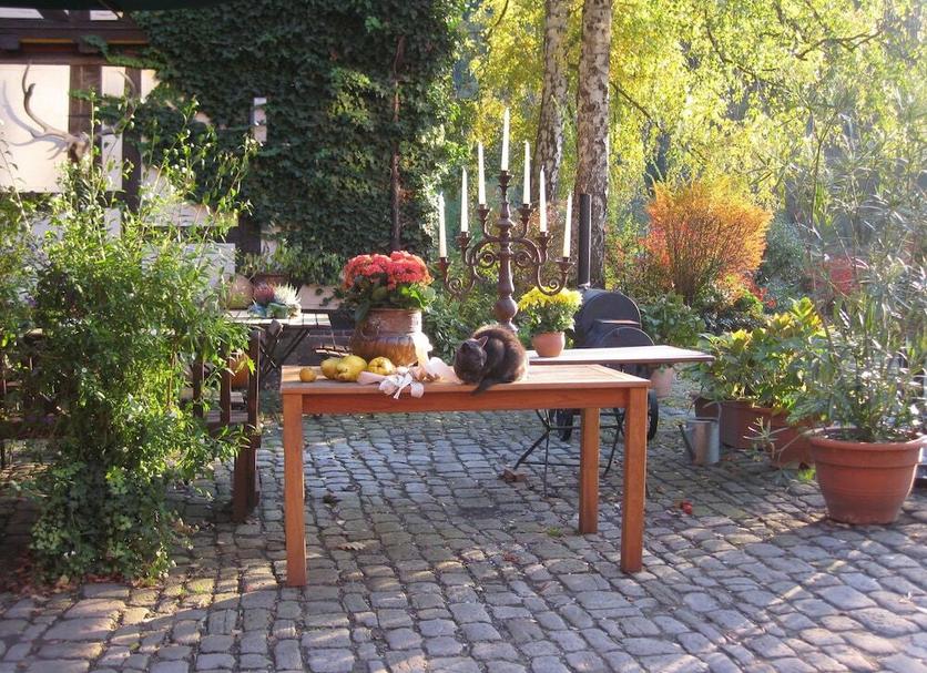 Patio Photo