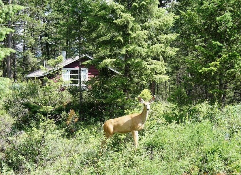 Outdoors view Photo