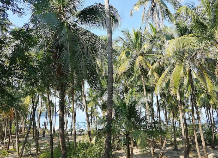 Outdoors view Photo