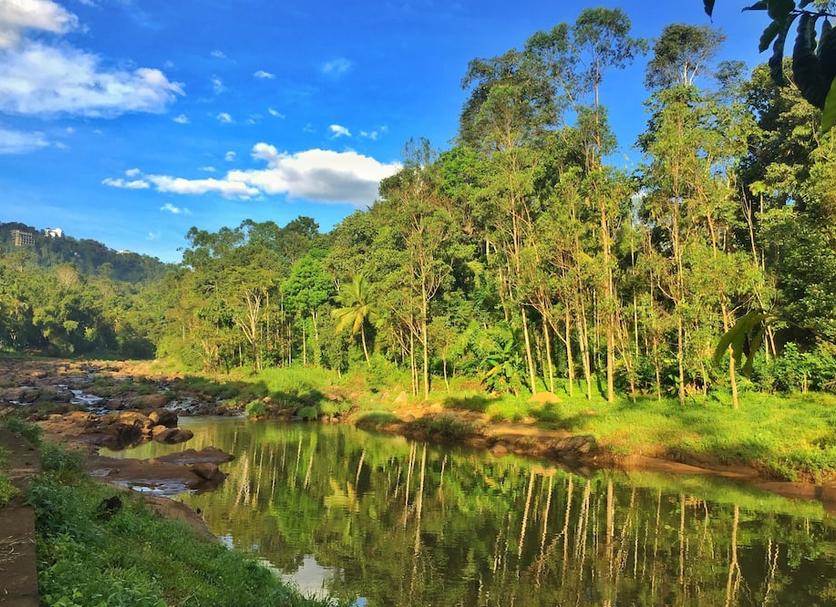 Outdoors view Photo