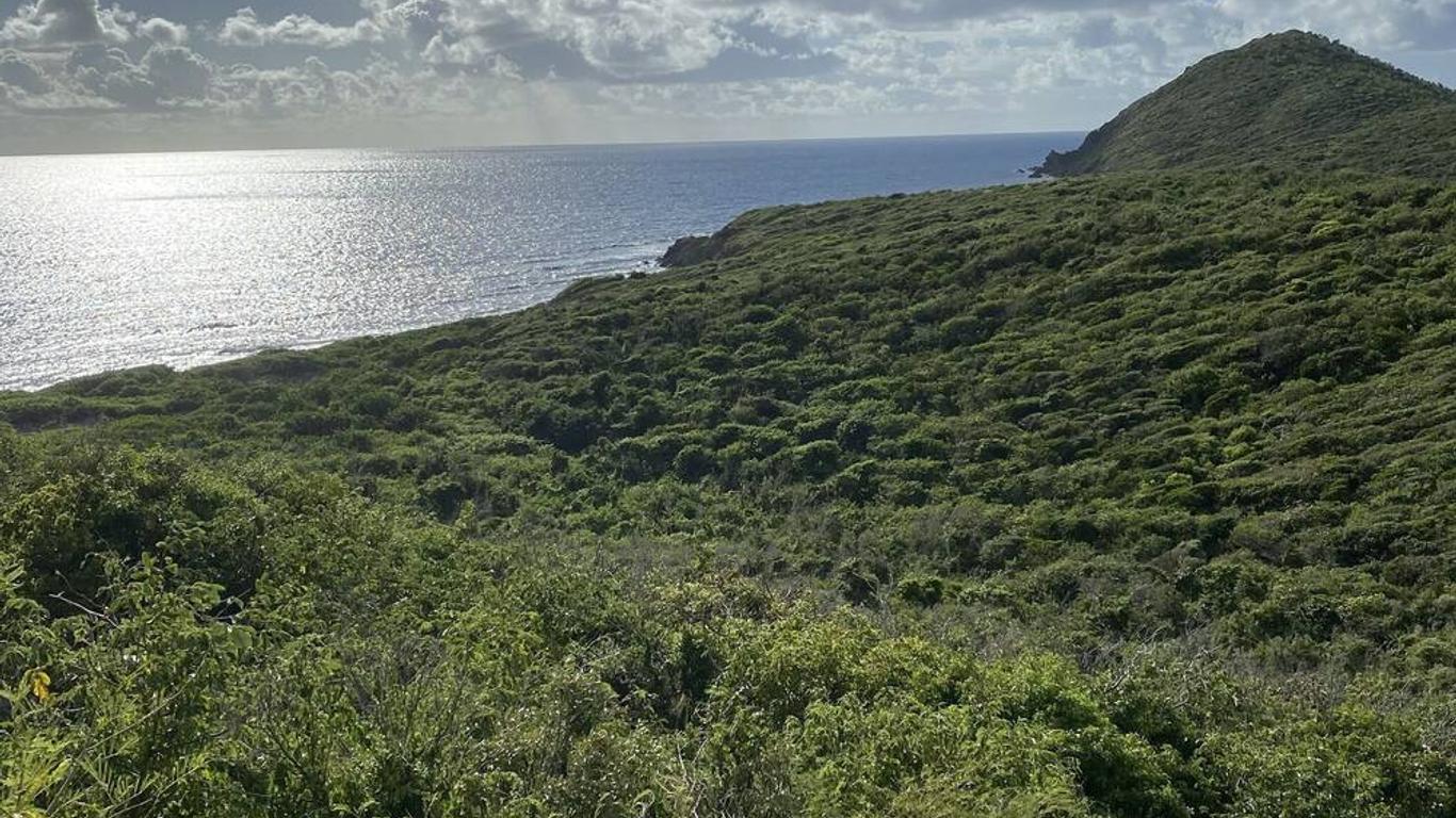 Concordia Eco Resort