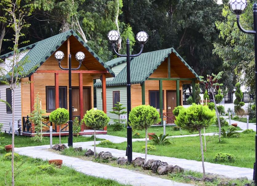 Other Photo