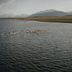 Eolo - Patagonia´s Spirit in El Calafate with guests swimming in a lake amid mountain scenery