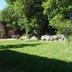 Outdoors view