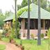 Nalla Eco Beach Resort in Pondicherry, garden cottage with green roof and palm trees