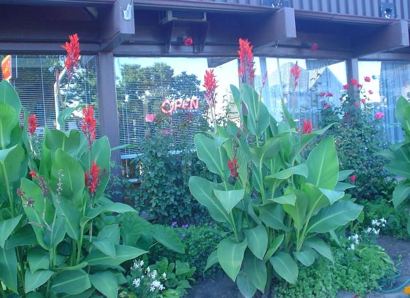 Outdoors view Photo