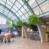 Apartamentos La Carabela in Puerto de la Cruz: covered terrace dining area with tables, bar, and hanging plants