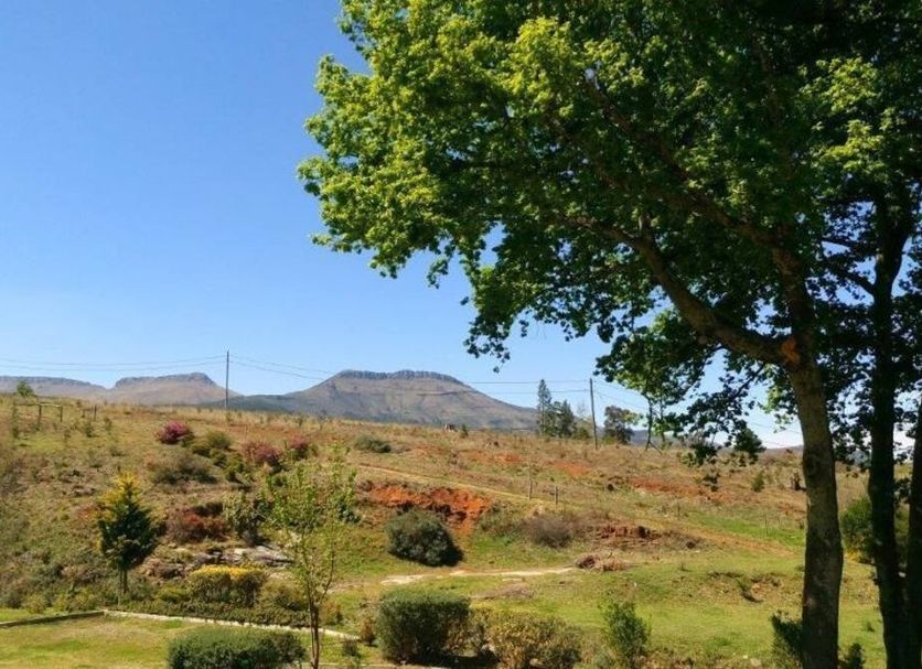 The Historic Hogsback Inn in Hogsback with mountain views, open grassy landscape, and a large tree