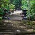 Hotel Shimbashi Sambankan in Tokyo near moss-covered stone steps in a wooded shrine path