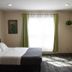 The Marquette Hotel in Madison guest room with bed, window and green curtains, plus potted plant