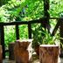 Outdoors view