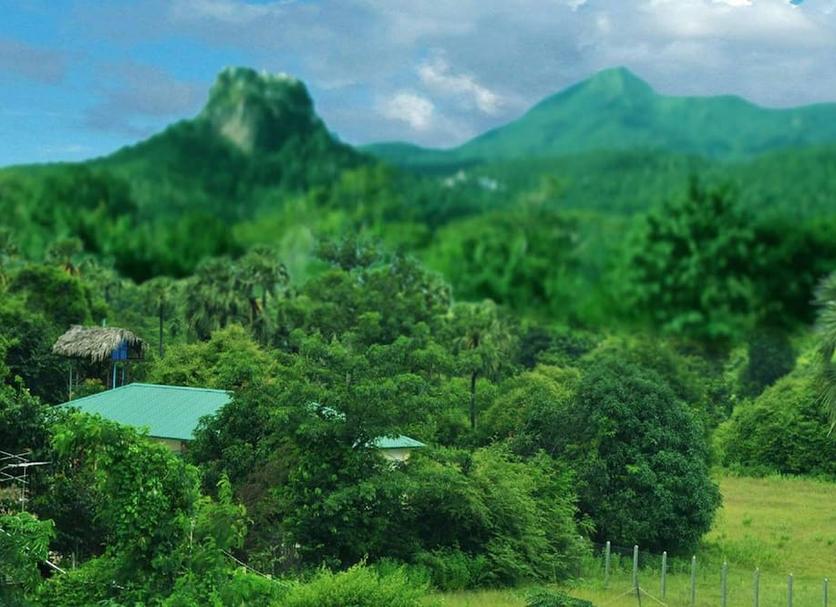 Outdoors view Photo