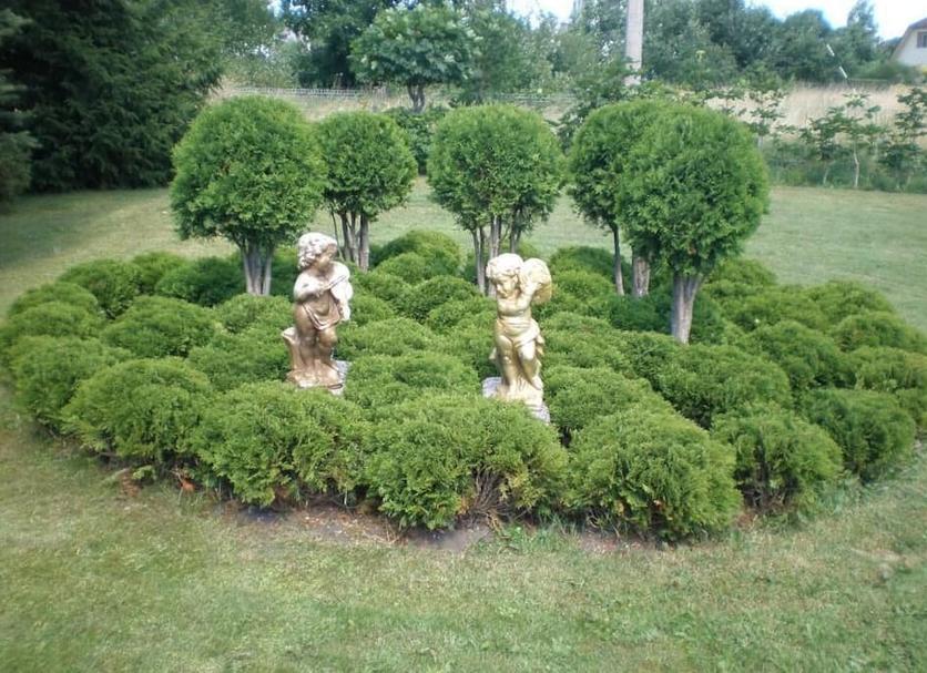 Other Photo