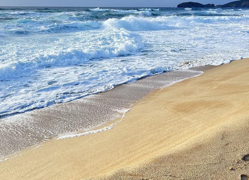 Beach Photo