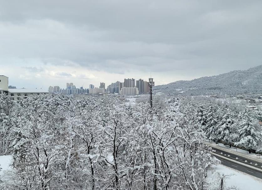 Outdoors view Photo