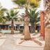 Hotel Serena Suite in La Serena with a palm-lined walkway and poolside courtyard