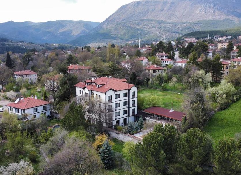Other Photo