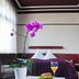 Hotel Neuer Karlshof in Baden-Baden guest room with purple bedspread, orchid, sofa and breakfast table