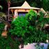 Outdoors view