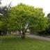 Outdoors view