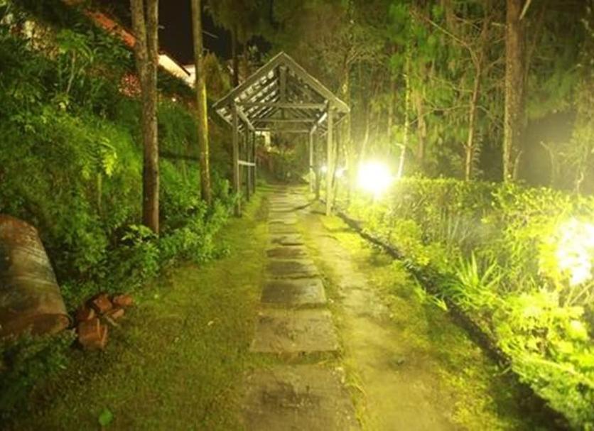 Outdoors view Photo