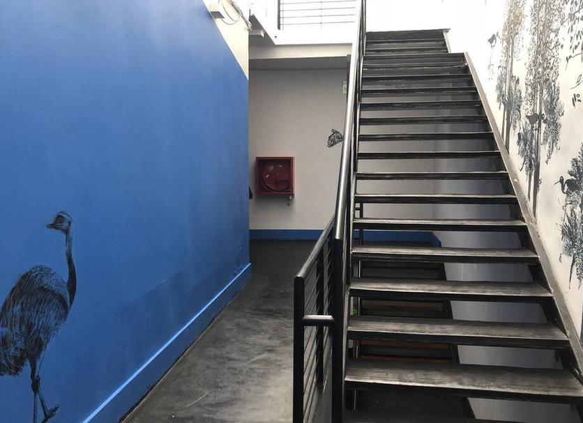 Stairs Photo