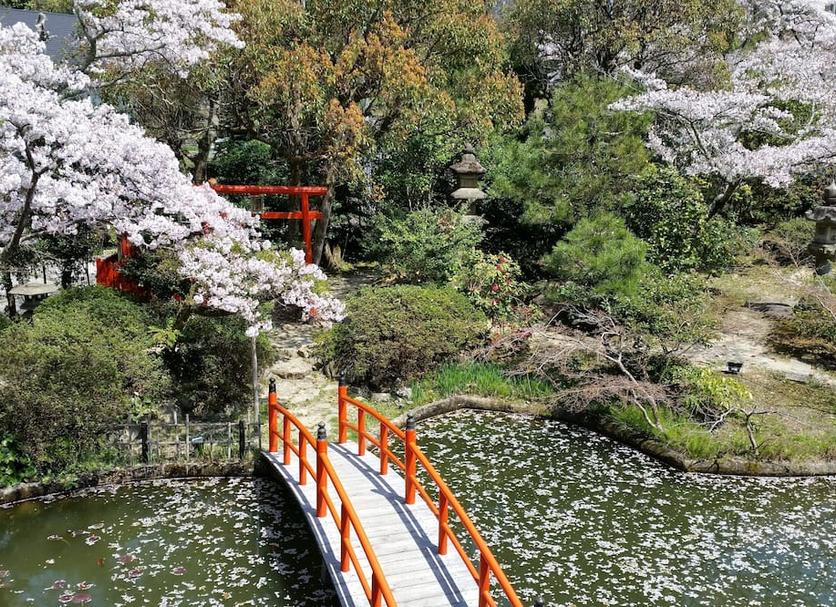 Outdoors view Photo