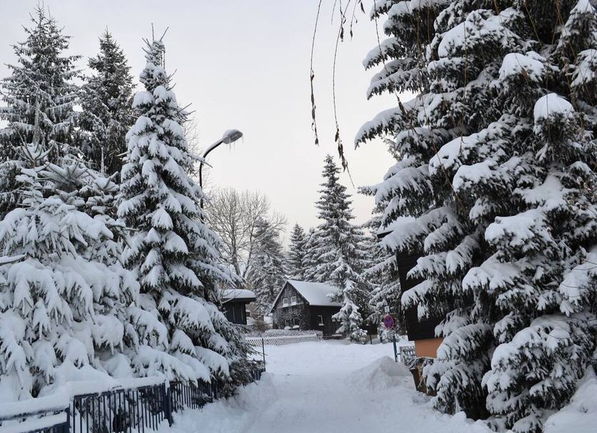 Apartments Fichtelberger Blick in Oberwiesenthal, snow-covered trees and a winter path