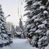 Apartments Fichtelberger Blick in Oberwiesenthal, snow-covered trees and a winter path