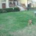 Outdoors view