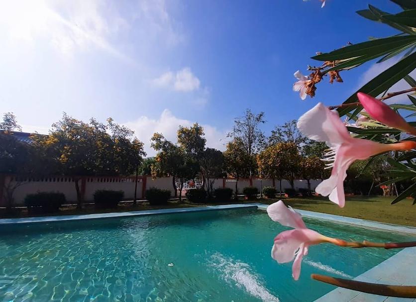 Pool Photo