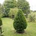 Outdoors view