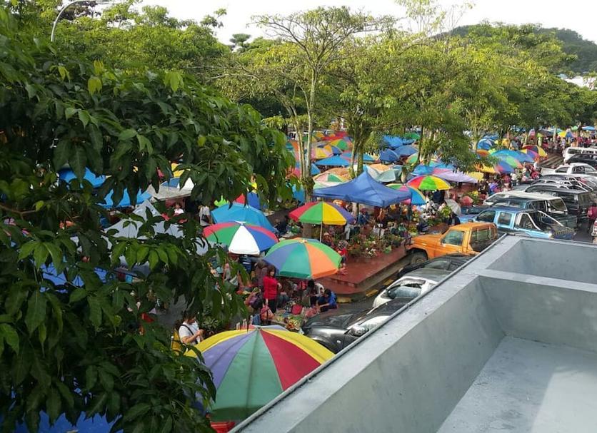 Other Photo