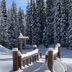 Snowy wooden bridge at The Lodge at Lolo Hot Springs in Lolo, framed by pine trees