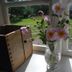 Nästegården Bed & Breakfast in Sätuna: vase of pink flowers on a sunlit windowsill